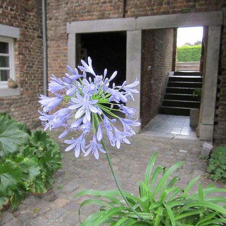 Lisa'S Weelde Bed & Breakfast Tongeren Exterior foto